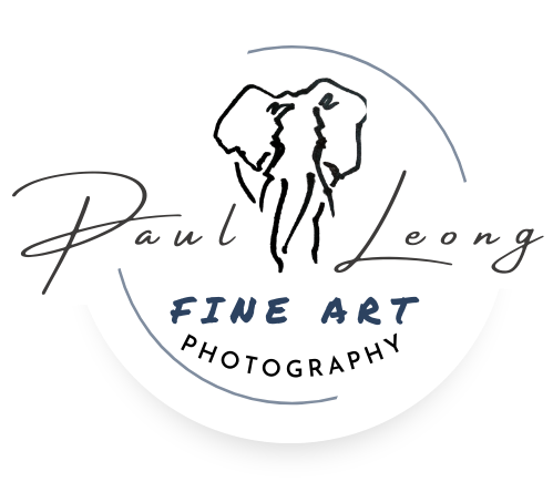 Paul Leong Fine Art Photography logo