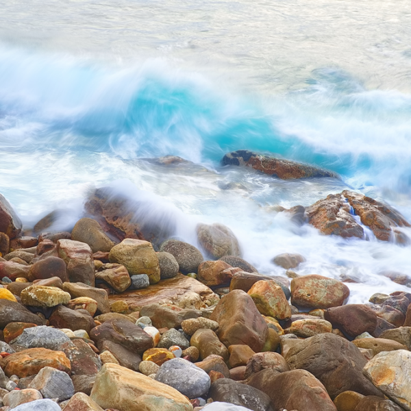 Mad rush Paul Leong Photography