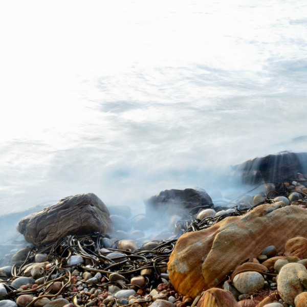 Rocky Abstract Bakoven - Paul Leong Photography