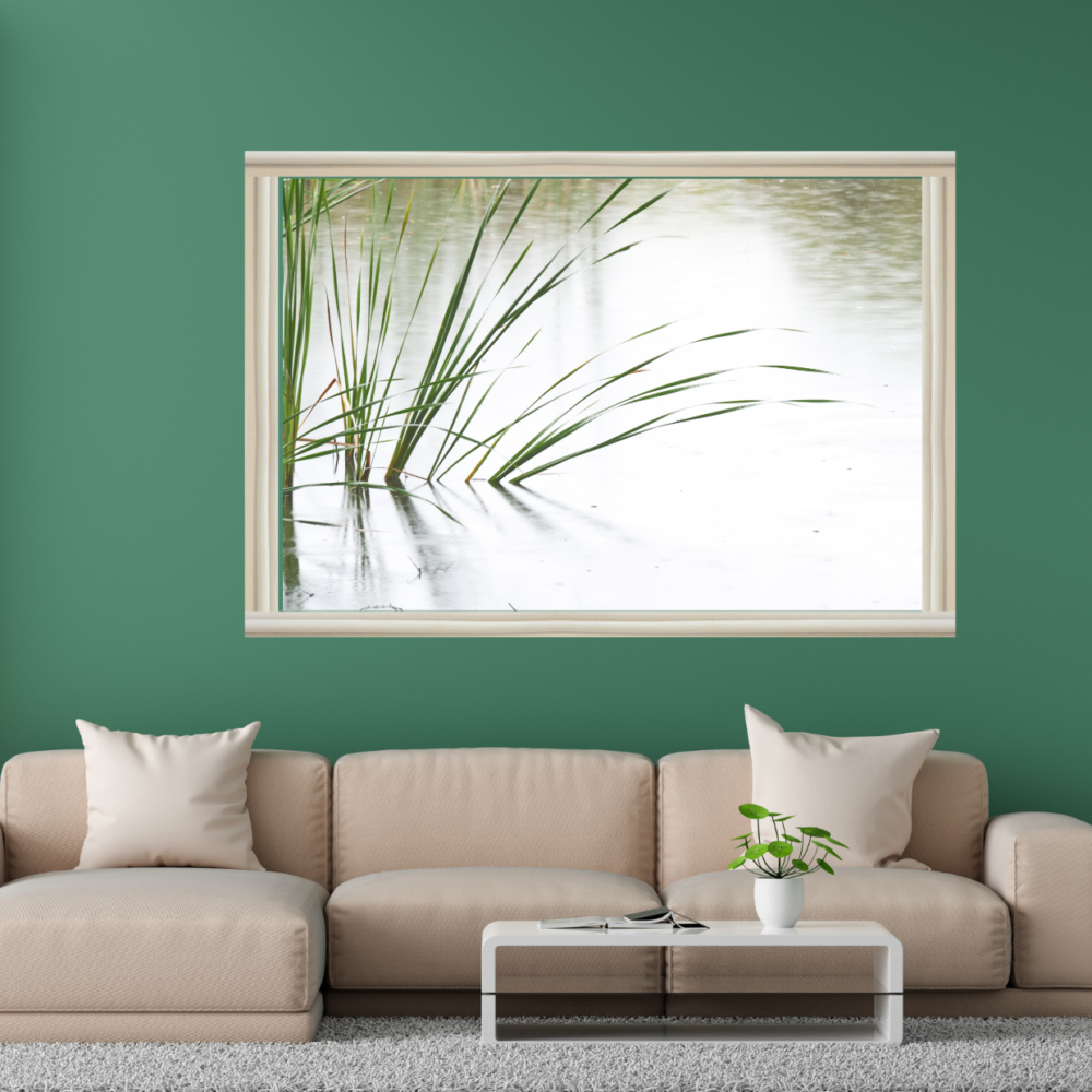 Reed reflections showcase Paul Leong Photography