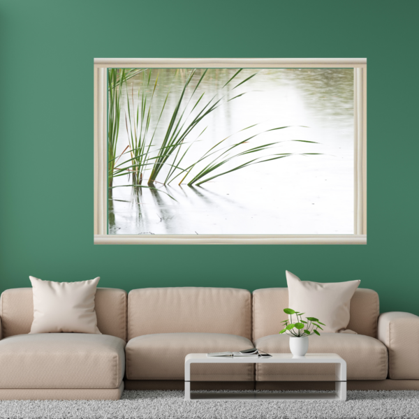 Reed reflections showcase Paul Leong Photography