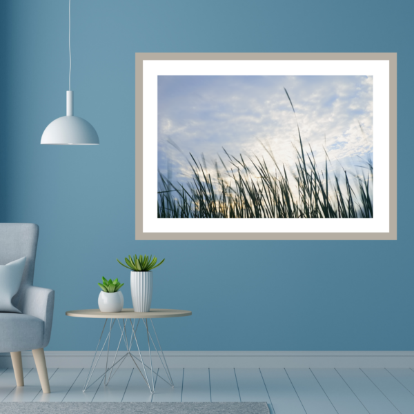 Bullrush Sky showcase Paul Leong Photography